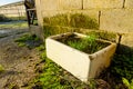 Drinking trough seen on a disused dairy farm. Royalty Free Stock Photo