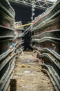 Abandoned damaged and stopped production line of chicken eggs of a poultry farm