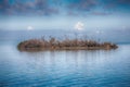 Abandoned, Desolate Island