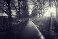 abandoned disused railway line in the morning sun Royalty Free Stock Photo