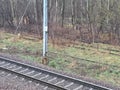 Abandoned disused  railway siding tracks Royalty Free Stock Photo