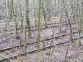 Abandoned disused  railway siding tracks Royalty Free Stock Photo