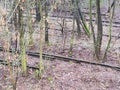 Abandoned disused  railway siding tracks Royalty Free Stock Photo