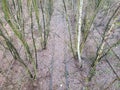 Abandoned disused  railway siding tracks Royalty Free Stock Photo