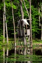 Abandoned Duck Stand in South Arkansas