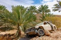 Abandoned dusted wreck of crashed passanger car near date palm t Royalty Free Stock Photo