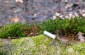 Abandoned electric alkaline battery on the moss in the forest