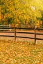 Abandoned empty autumn fall park forest with colorful yellow green leaves on trees and wooden fence. Beautiful autumnal season Royalty Free Stock Photo