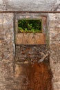 Abandoned empty old dark underground cellar. An abandoned basemen Royalty Free Stock Photo