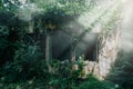 Abandoned facade overgrown with vegetation, remnants of a building swallowed by nature