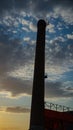 Parthenocissus chimney in abandoned factory