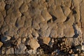 Abandoned factory - Wall texture, cracked plaster