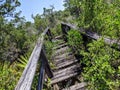 Abandoned Falling Down Wood Walkway Bridge in Brush and Trees