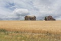 Abandoned farm house and barn in a wheat field Royalty Free Stock Photo