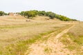 Abandoned farm house,cork trees and road in Santiago do Cacem Royalty Free Stock Photo