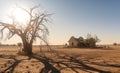 Abandoned farm house and dried trees in arid landscape, climate change concept. Generative AI realistic illustration