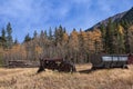 Abandoned farm machinery in a Colorado field in Autumn