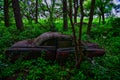 Abandoned farm and vintage cars decay in the woods on an abandoned property in Wisconsin