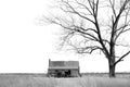 Abandoned Farmhouse