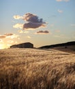 Abandoned farmhouse in field at suns