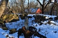 Abandoned farmstead on the Cheif Peosta Trail