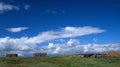 Abandoned Farmstead in ND on a summer day