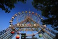 Abandoned Ferris Wheel Rusting Old Amusement Park