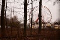 Abandoned ferris wheel in spreepark planterwald in former east Berlin, Germany