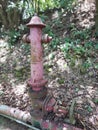 Abandoned fire hydrant in the deep mountains with Chinese characters written on it.