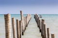 Abandoned Fishing Pier Seagulls Distant Horizon Caribbean Sea Caye Caulker Belize Royalty Free Stock Photo