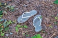 Abandoned flip-flops at the park Royalty Free Stock Photo