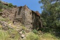 Abandoned flour mill among the trees Royalty Free Stock Photo