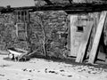 Abandoned food storage