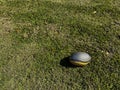 An abandoned football on the grass in a park, garden or yard