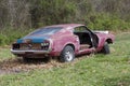 Abandoned 1969 Ford Mustang Fastback
