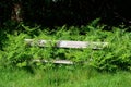 Abandoned forest bench Royalty Free Stock Photo