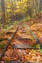 Abandoned forest railway covered with colorful autumn leaves Royalty Free Stock Photo