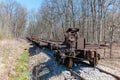 Abandoned freight train in forest Royalty Free Stock Photo