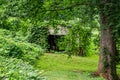 Abandoned garage overgrown by invasive kudzu vines