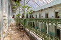 Abandoned girls high school, lycee V in Belgium. Tree grows on the stone floor.