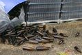 Packed bottles in pallets, lots of empty broken bottles on asphalt and garbage from production abandoned glass factory