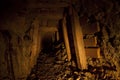 Abandoned Gold Mine Tunnel Royalty Free Stock Photo