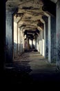 Abandoned Grain Elevator and Concrete Column Maze - Buffalo, New York