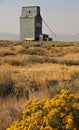 Grain Elevator and Rabbitbrush in Idaho Royalty Free Stock Photo