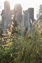 Abandoned graves on ancient cemetery, Jewish tradition of funeral