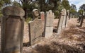 Abandoned graves, Isle of the Dead, Tasmania Royalty Free Stock Photo