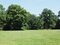 Abandoned green grassy field and trees at park landscape in european Pszczyna city in Poland on June Royalty Free Stock Photo