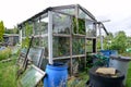 Abandoned greenhouse full of weeds