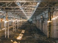 Abandoned and haunted industrial creepy warehouse inside, old ruined grunge factory building Royalty Free Stock Photo