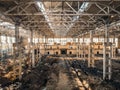 Abandoned and haunted industrial creepy warehouse inside, old ruined grunge factory building Royalty Free Stock Photo